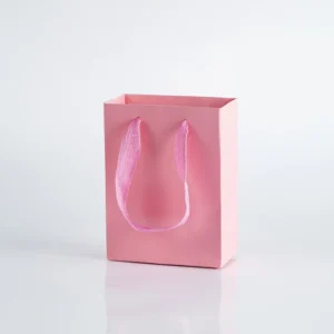 Custom Corporate Gift Bag